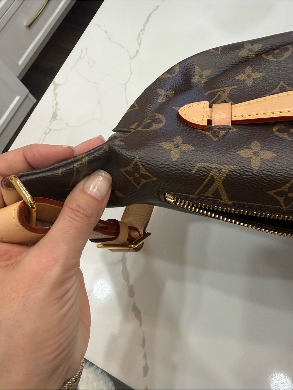 Louis Vuitton Classic Monogram Canvas Crossbody Belt Bag in Brown and Tan - Picture 9 of 11
